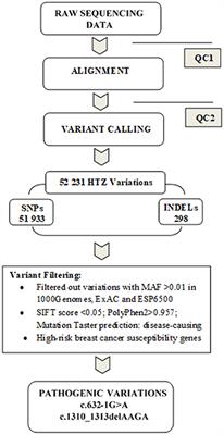 Identification of BRCA2 Cis Double Heterozygous Breast Cancer Cases Using Whole Exome Sequencing: Phenotypic Expression and Impact on Personalized Oncology